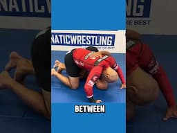 Easy Butterfly Guard Inversion - Charles Harriott  #bjjinstructional #bjj #bjjlesson