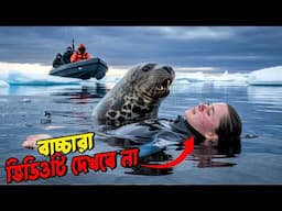হৃদয় কাঁপানো বাস্তব কাহিনি… কেউ বাঁচাতে পারল না! Worst Leopard Seal Attack in History