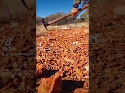 Beautiful West Australian Gold Nugget🤜🤛