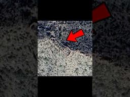 Hiking to a Massive Structure I Found on Google Earth 😱 #shorts