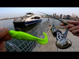 East River Fishing NYC With Bait