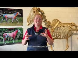 4 Steps to Ensure A Healthy Body for Your Horse