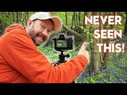 Photographing Spring woodlands with my 24-70mm lens