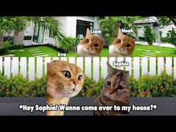 CAT MEMES FAMILY ROAD TRIP HOLIDAY CHAOS EDITION