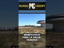 El Platillo abandonado [100 Misterios Sin Resolver]