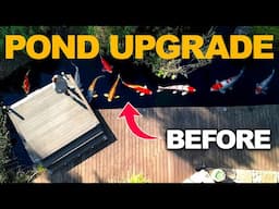50,000 Gallon (Nature) Koi Pond Transformation! GEISSENS FAMILY