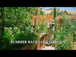 Summer days in my backyard garden｜Behind Scenes of My productive garden