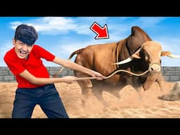 Qurbani ka Janwar Dhoondh Liya?