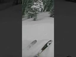 This was insane! #avalanche #skiing #backcountryskiing #mountains #ski #pov