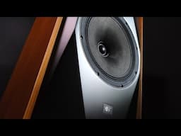 FAT Speaker, GREAT Sound!  The MoFi Source Point 10 Review