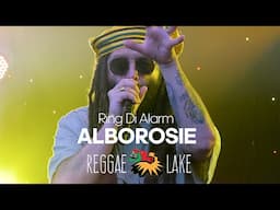 Alborosie & Shengen Clan - Ring Di Alarm Live at Reggae Lake Festival Amsterdam