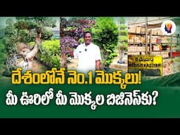 కడియపులంక నర్సరీ మొక్కలు wholesale prices లో | Business Opportunity | Telugu Self Employment Ideas
