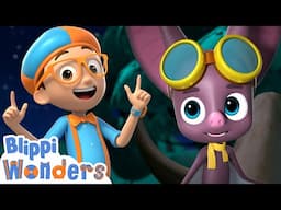 Blippi and the Bat: Echoes in the Dark! | 📖 Blippi Wonders