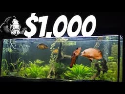 Let's Spend $1,000 On An Aquarium LIVE!