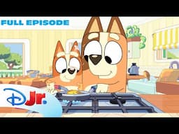 Bluey "Omelette" Full Episode! 💙 | Bingo helps Mum Cook! | @disneyjr  x @BlueyOfficialChannel