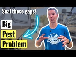 Rodents in Your RV? How to Seal & Protect It