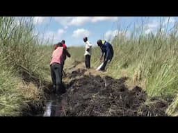 KAWAMBWA RESIDENTS TURN TO EDIBLE WORMS FOR INCOME