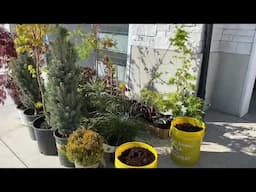 Planning and Implementing the new Therapy Garden // May 2025