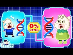 0% Genetic Match! Is Bearee Adopted? | DNA Tester Reveals Secret in Bearee Family | Bearee Kids Show