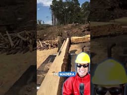 Mira como hacen la madera en áfrica!