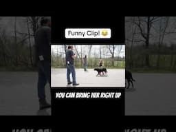 Funny moment at one of our dog training workshops! #funny #dogs #dogtraining #puppy #training #viral