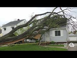 Massive tree crushes Cleveland home following short but mighty storm