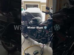 Winter Blues!