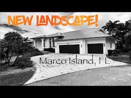 Fun Landscape Overhaul on Marco Island!!