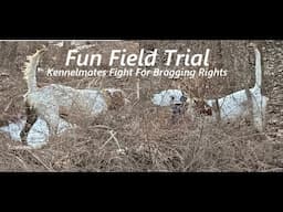 Fun Field Trial