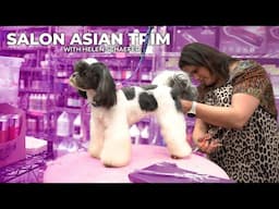 Salon Asian Fusion Trim - Helen Schaefer