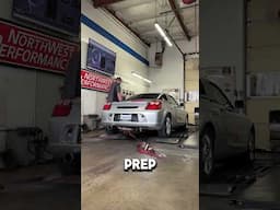 DYNO DAY with some locals!