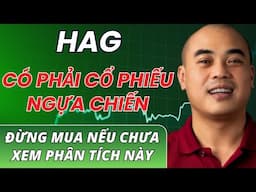 Vsa thực chiến | HAG có thực sự là cổ phiếu NGỰA CHIẾN ? Đừng mua nếu chưa xem phân tích này!