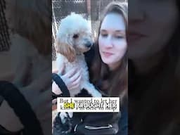 Making a shelter dog life better 🥹 Watch Full Story ☝️