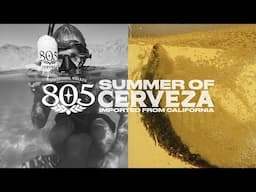 This Is The Summer Of Cerveza