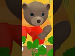 🍓 Où sont les fraises de Petit Ours Brun ? 🍓 #shorts #PetitOursBrun #dessinanime