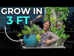 If I only had a patio to garden in, this is what I would do