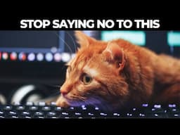 Don’t Stop This! It’s Your Cat’s Favorite Things!