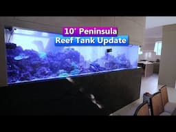 10ft Reef Tank Update - Tank Tour