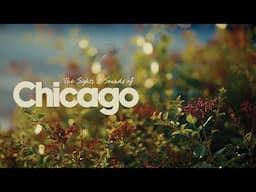 Sights & Sounds of Spring in Chicago (Sony A7CII)