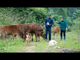 Peaceful Farm Life, Off-Grid Cabin, Gardening, Animal Care
