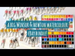 A Big Winsor & Newton Professional Watercolour Tube eBay Haul & Palette Assembly