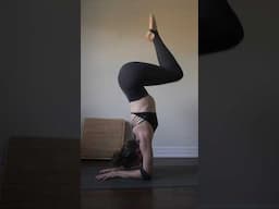 Fail Faster  #yogaeveryday   #transformation #strengthtraining