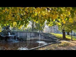 "Herbstspaziergang an der Brühlschen Terrasse in Dresden"