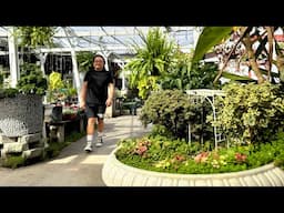 Family Nursery Turns On the Charm and Imagination