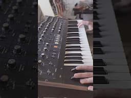 Korg Mono/Poly and felted piano go nice together