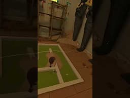 🏌️‍♂️🤯 Walkabout Mini Golf: April 2025 Play of the Month  #walkaboutminigolf #gaming #vr