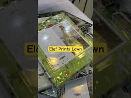 Elaf Prints Lawn 2025 Available at Sharif Collection