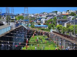 Live Japan Walk - Local Streets in Kawasaki - Tsudayama & Shukugawara