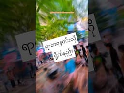 ရာဇာနေဝင်းလိုရိုက်ကြည့်မယ် /Insta 360 X5 #shortvideos #shortsfeed #shortsviral #insta360