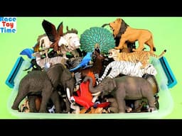 Lots of  Toy Jungle and Forest Animal Figurines Collection